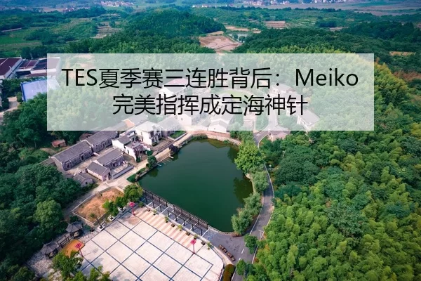 TES夏季赛三连胜背后：Meiko完美指挥成定海神针