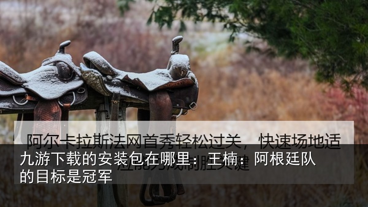 九游下载的安装包在哪里:王楠:阿根相关情况