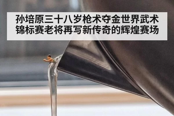 孙培原三十八岁枪术夺金世界武术锦标赛老将再写新传奇的辉煌赛场
